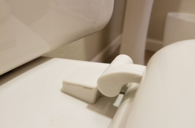 Can You Replace Toilet Seat Hinges